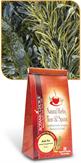 Kelp nutritional supplement for healthy thyroid function